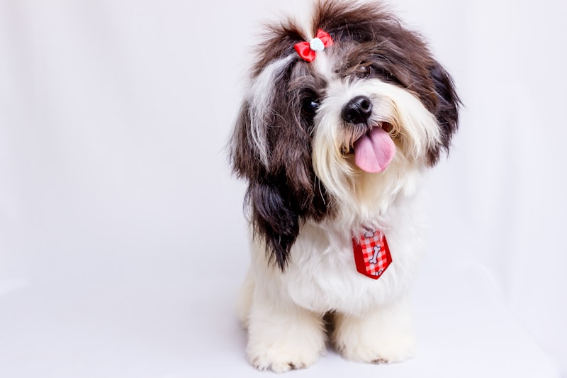 Hypoallergenic Conditioning Spray