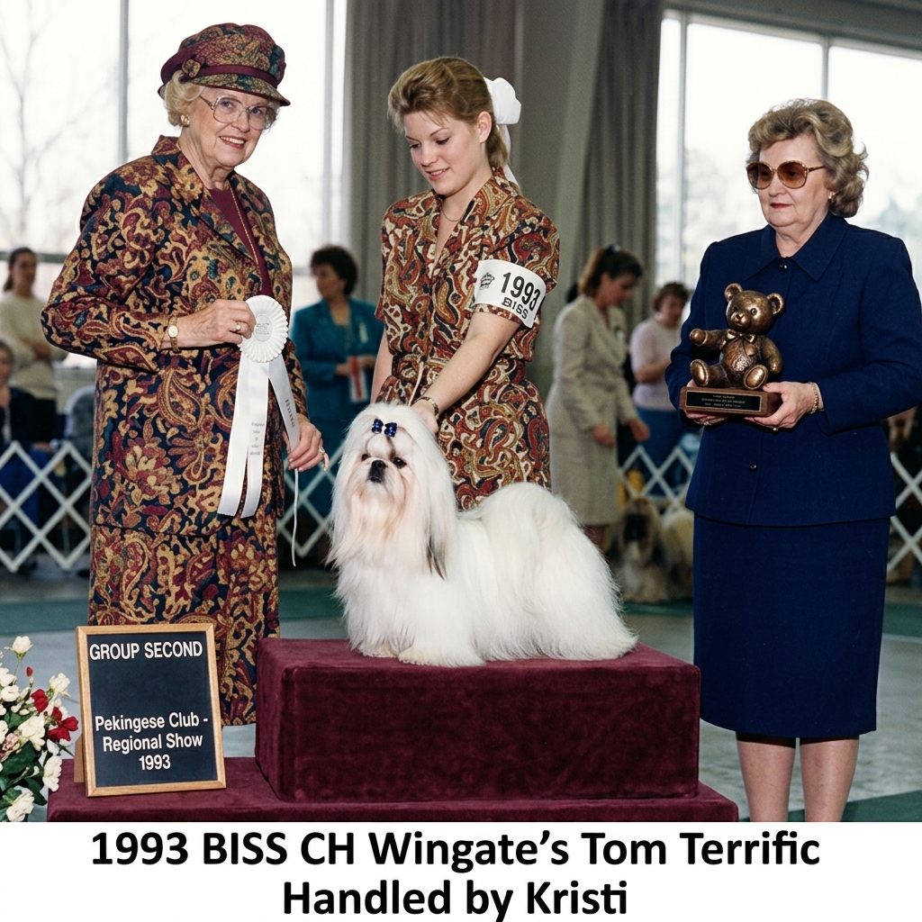 1993 BISS CH Wingate's Tom Terrific Handled by Kristi