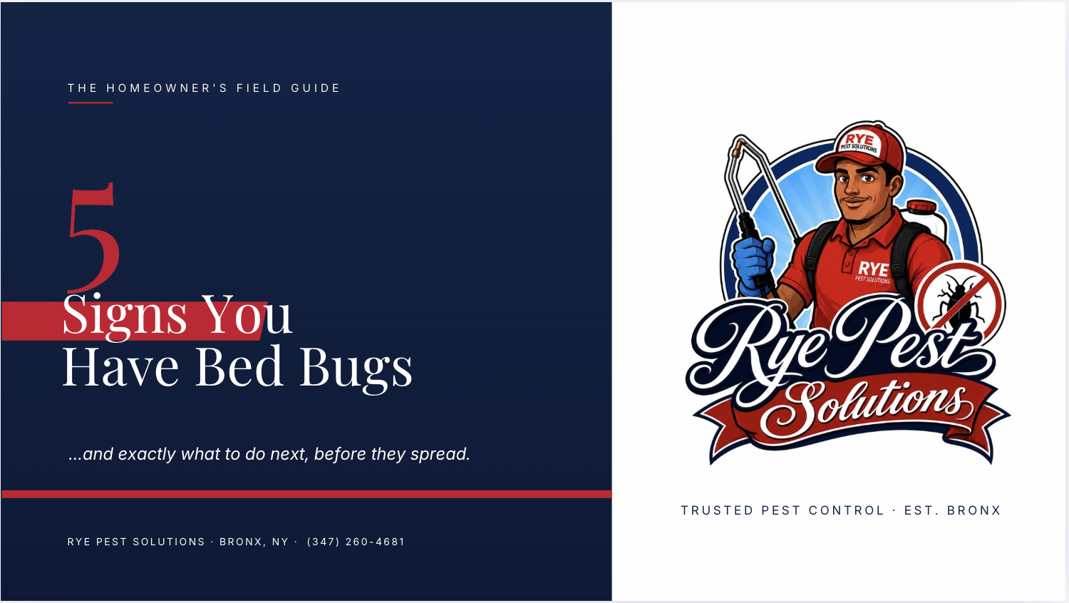 5 Signs You Have Bed Bugs PDF Guide