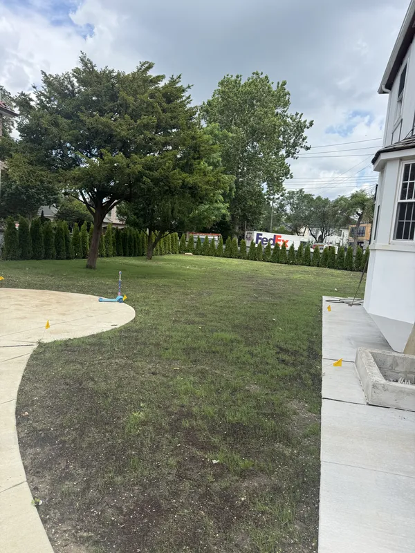 Backyard Maintenance - Cleanups