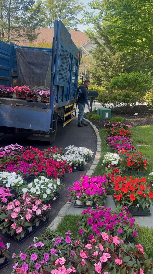 Tree Services & Planting