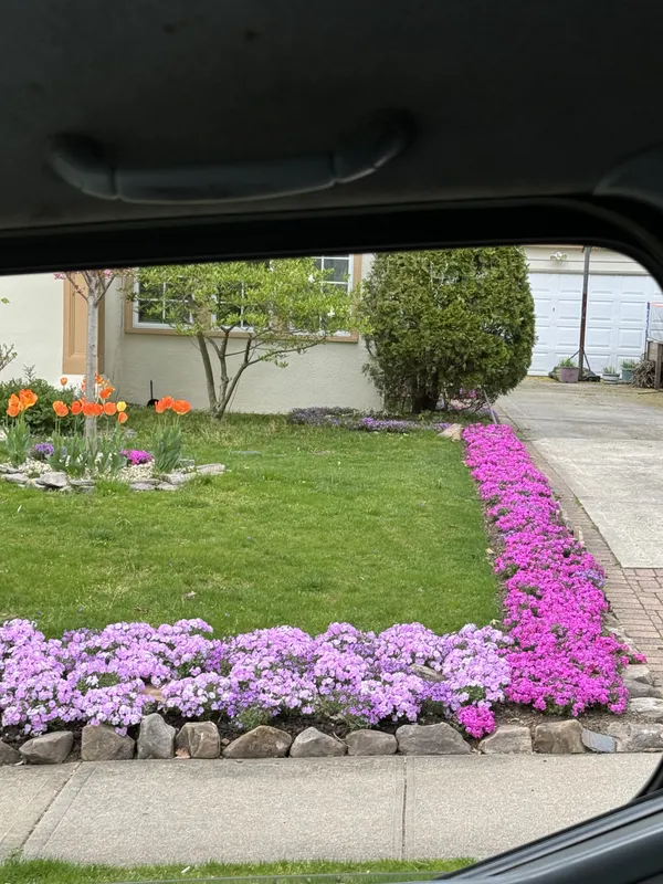 Front Yard Flower Beds - Planting