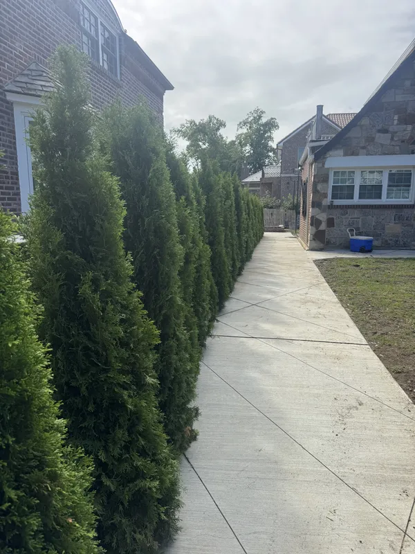 Mulch & Topsoil Installation