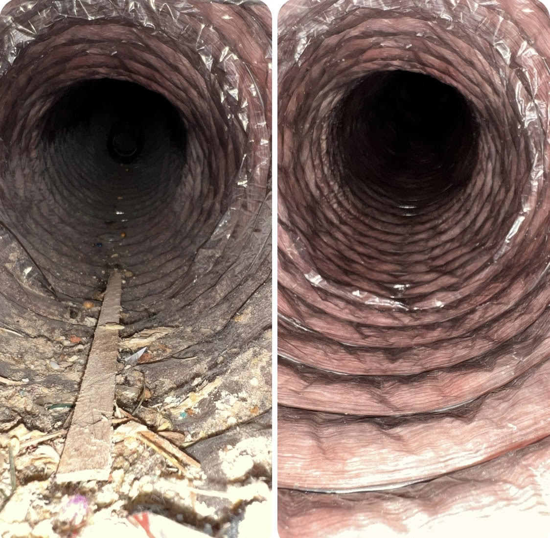 Professional inspecting dirty air duct