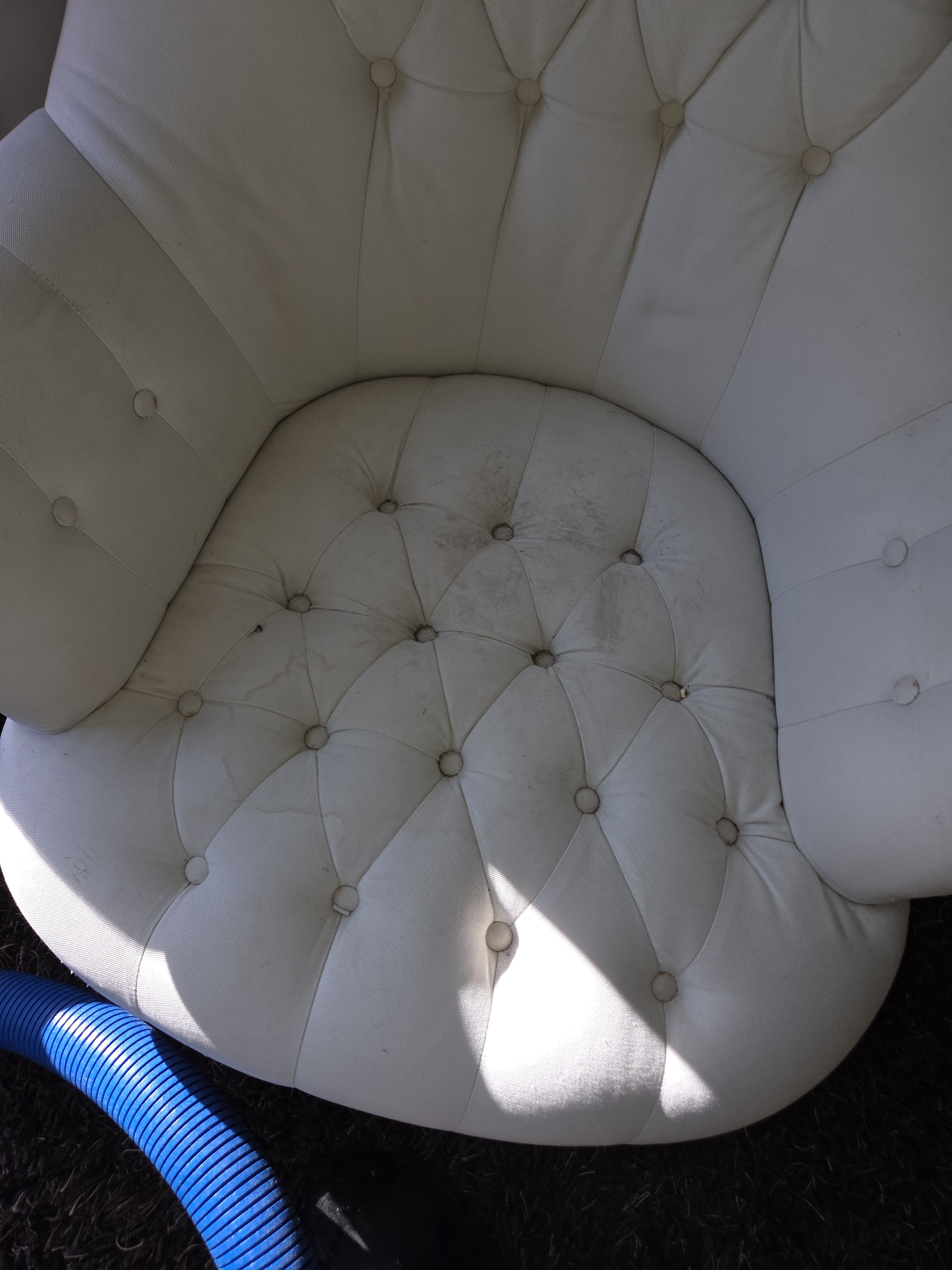 Upholstery Cleaning Before