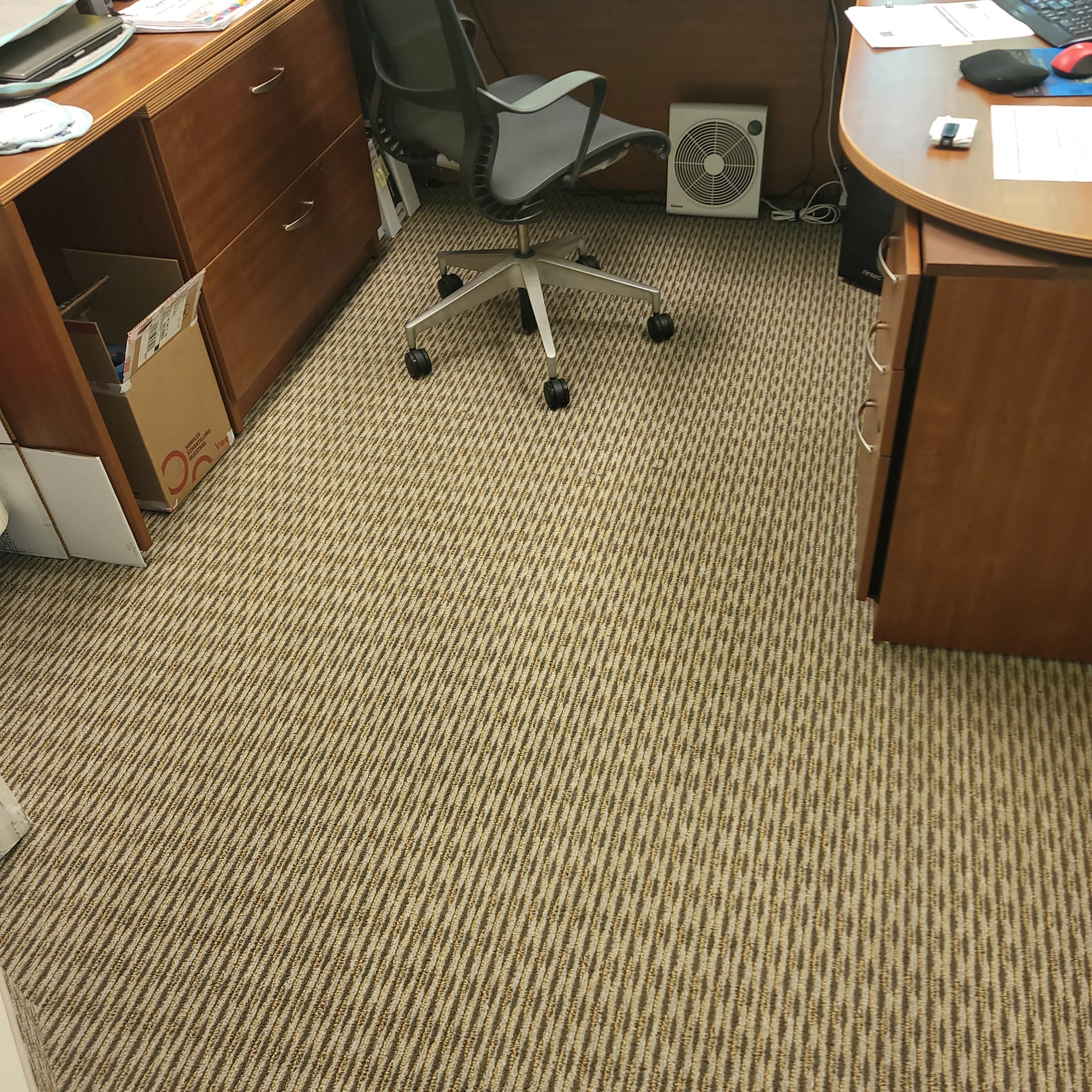 Commercial Carpet Cleaning After