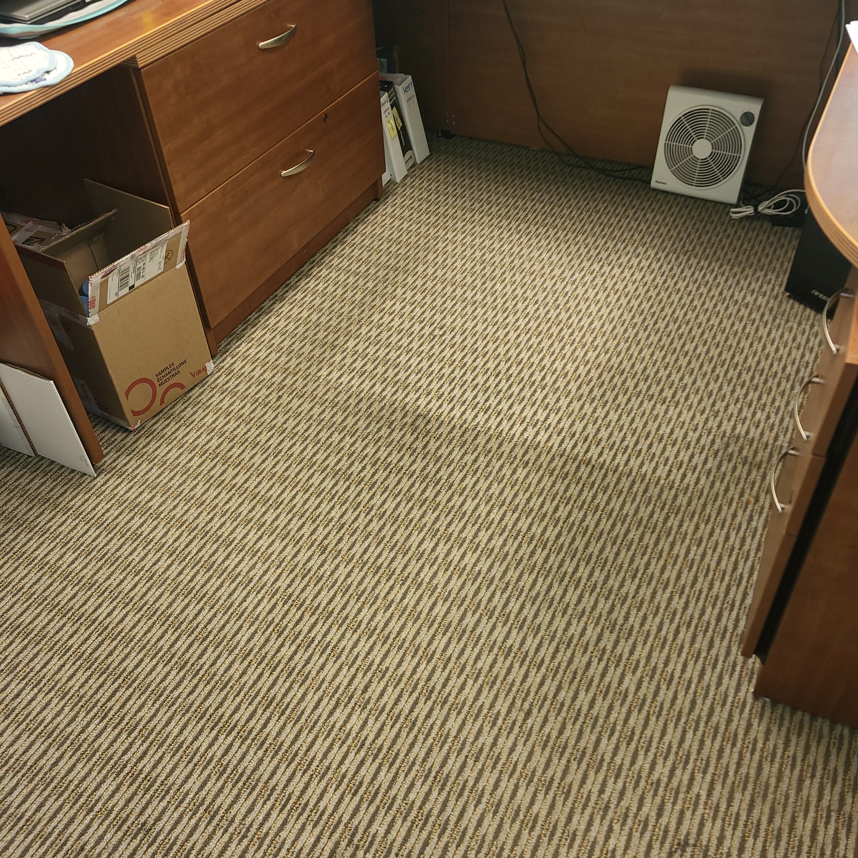 Professional Carpet Cleaning