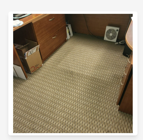 Commercial Carpet Cleaning Before