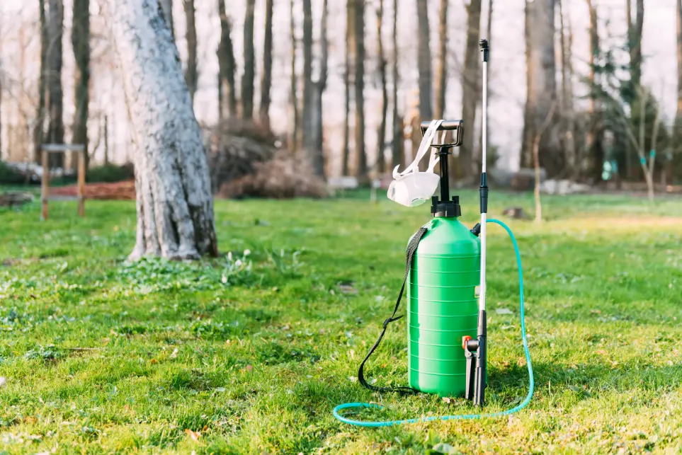 Specialty lawn services