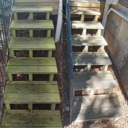 Moss, mould & lichen treatment