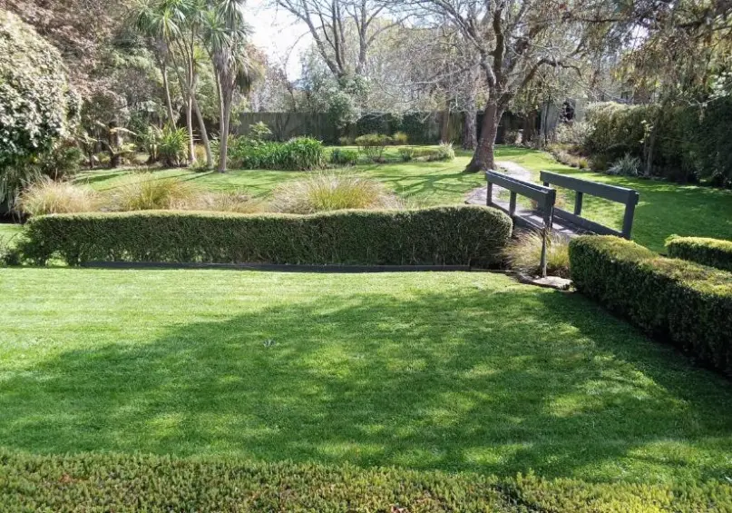 Beautiful manicured lawn and hedges