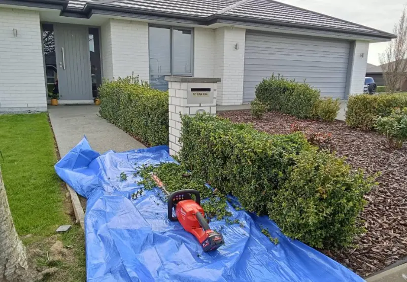 Hedge trimming in progress