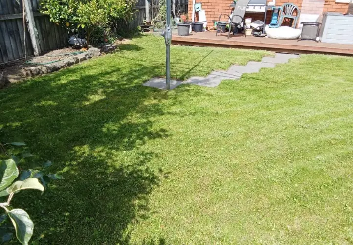 Freshly mowed lawn