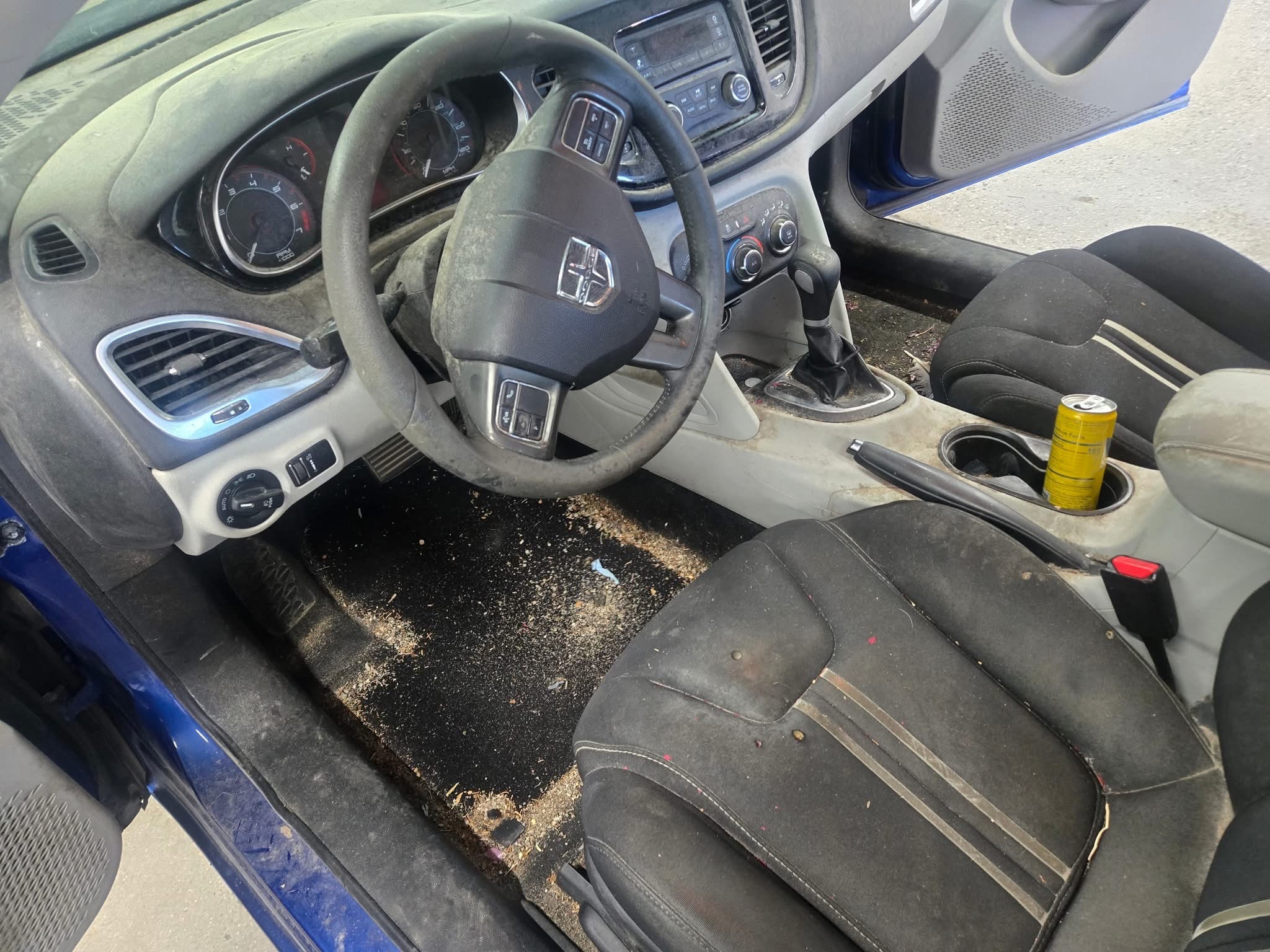 Before Auto Detailing