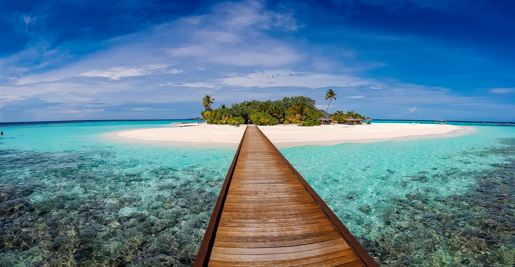 Oceanfront picnic spots with unmatched views