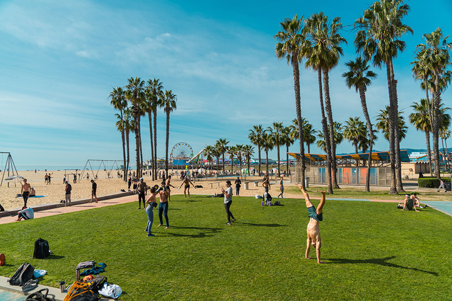Muscle Beach