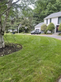 Gallery image 18