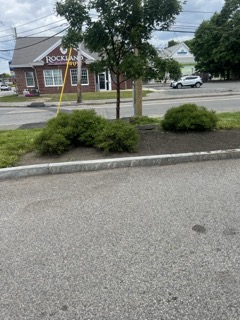 Gallery image 17
