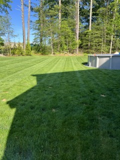 Gallery image 43