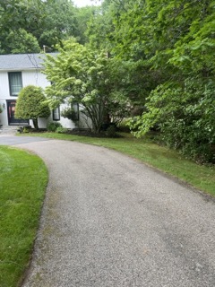 Gallery image 19