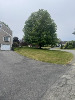 Gallery image 9