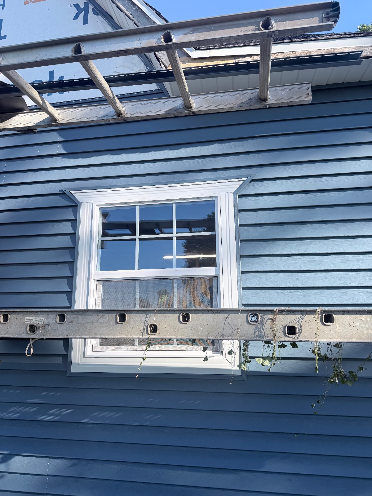 Custom Window Casing & Deep Blue Lap Siding