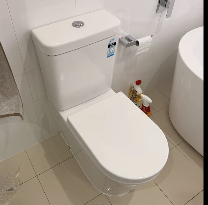 Dawnguard Plumbing — new toilet installation