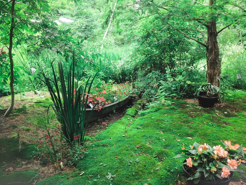 Yard Maintenance