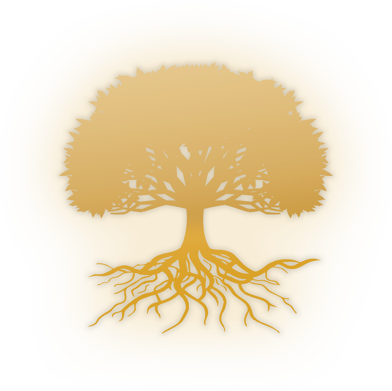 Convergence Logo