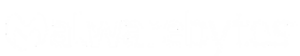 Malwarebytes