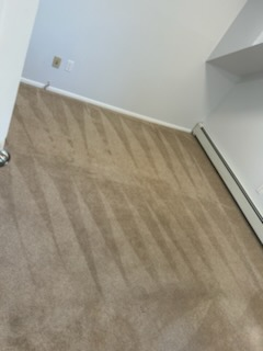 Cleaning Work