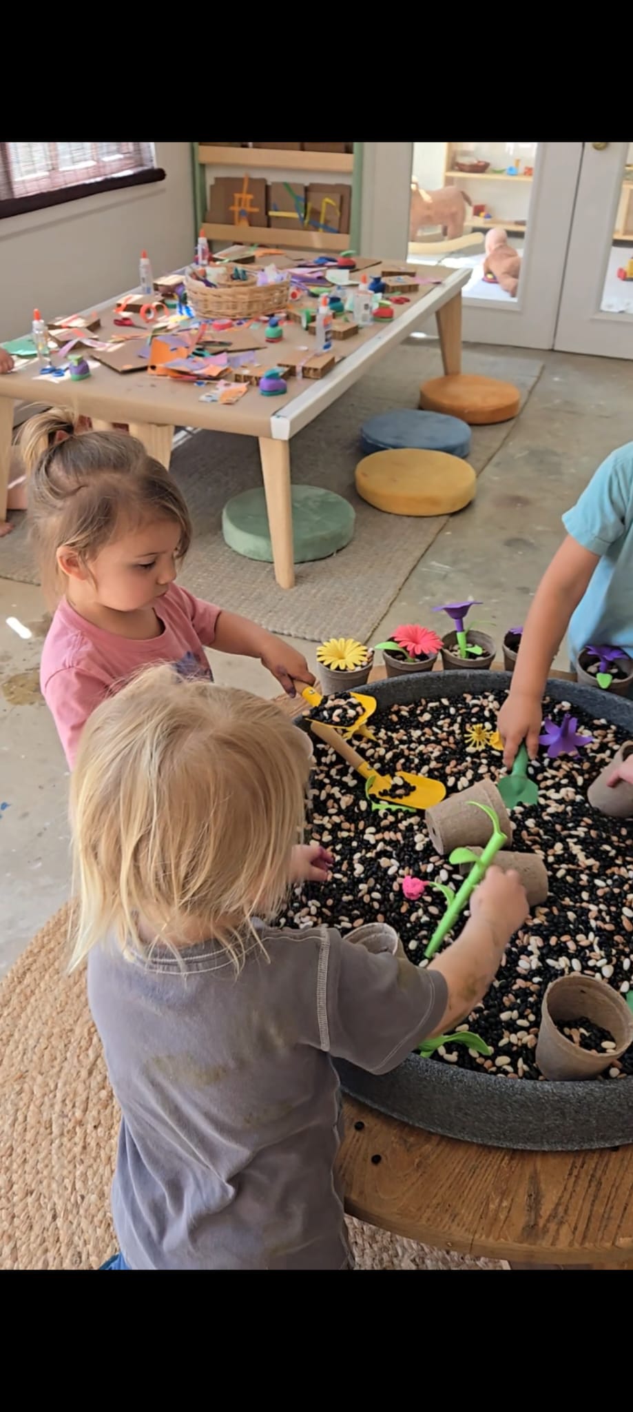 Wild Play Studio