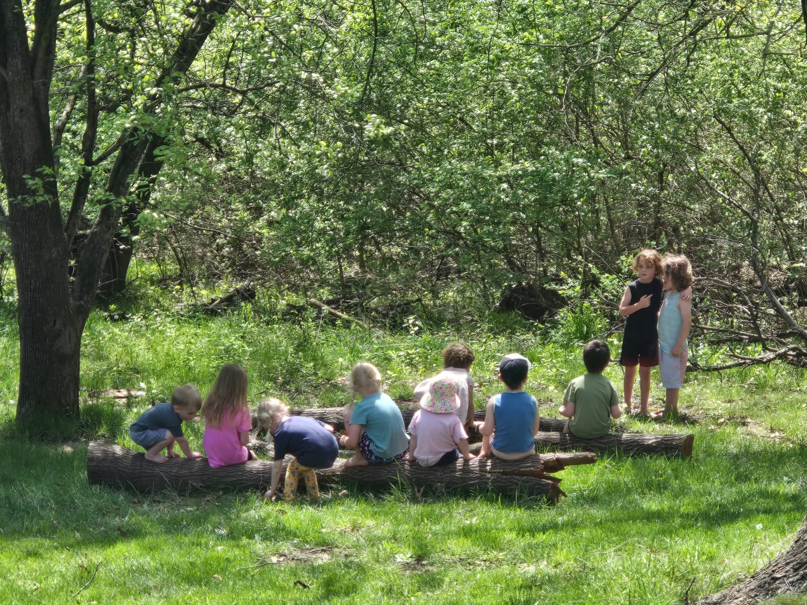 Children playing in a sunlit forest at Wildling and Wonder