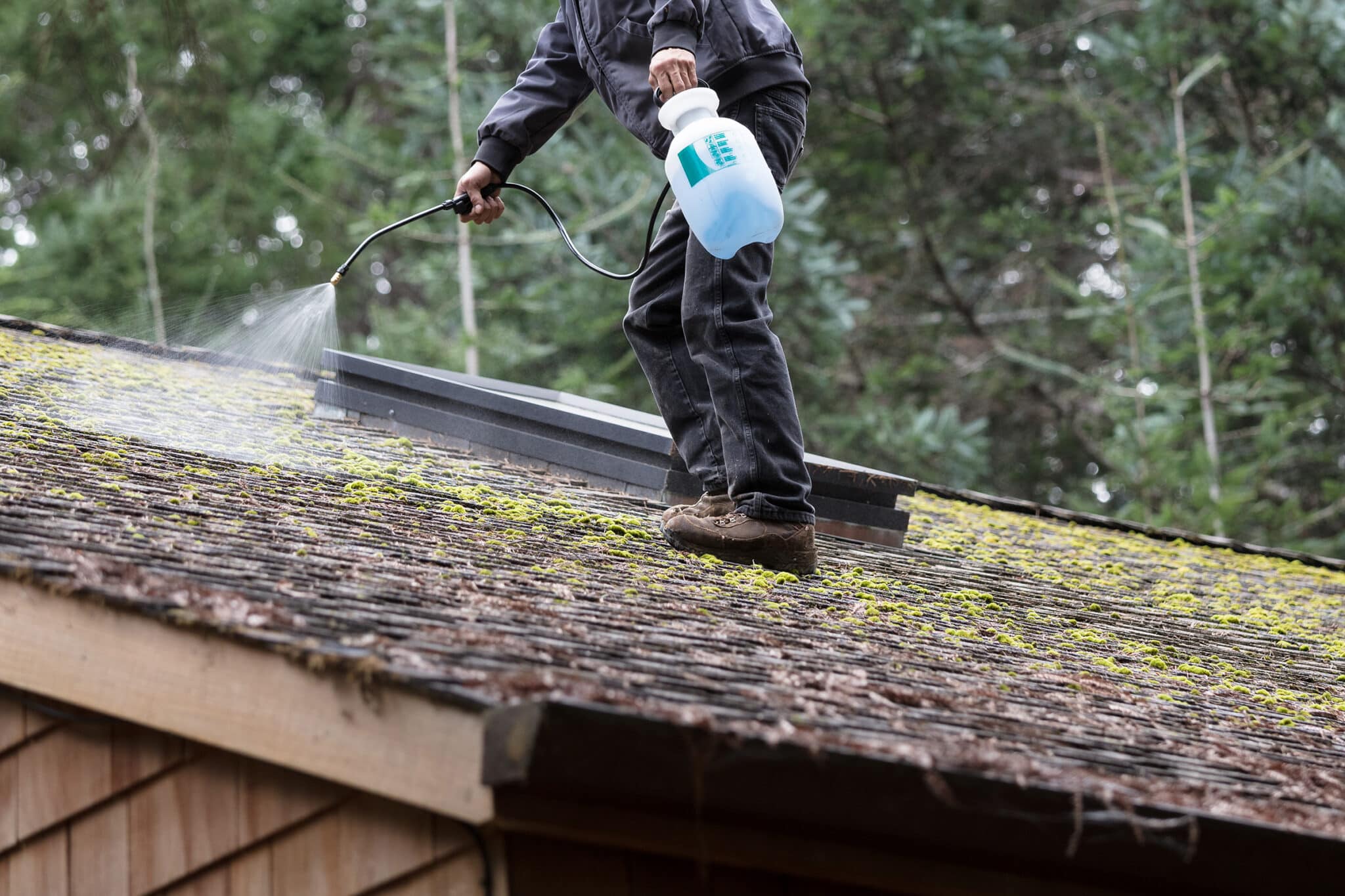 Pressure Washing in Santa Rosa