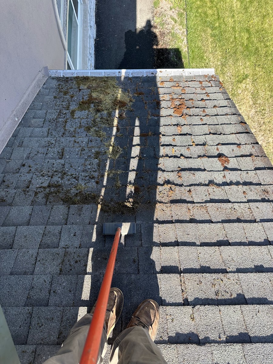 Why Roof Moss is Destroying Homes in Santa Rosa