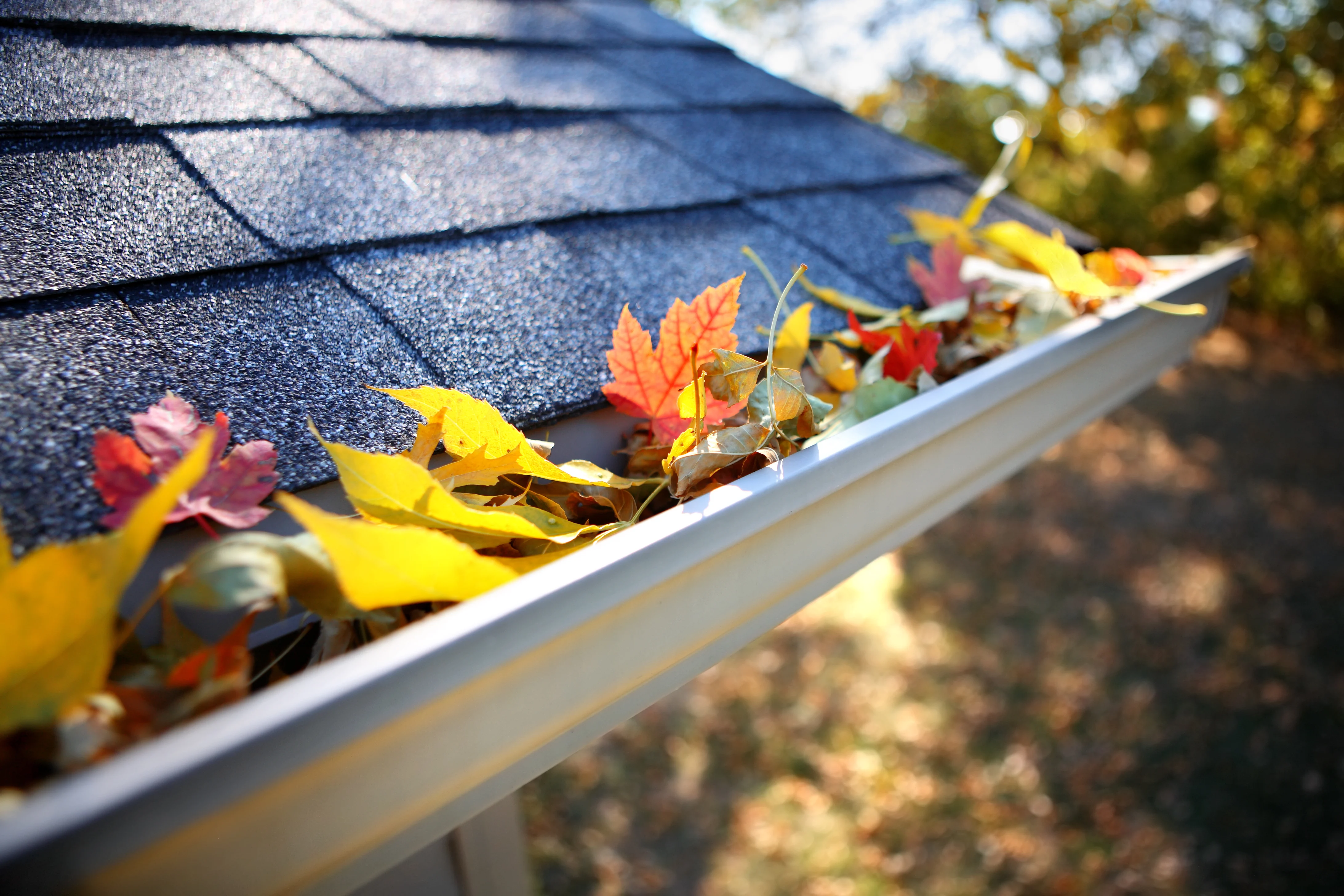 Preparing Your Sonoma County Home for the Rainy Season