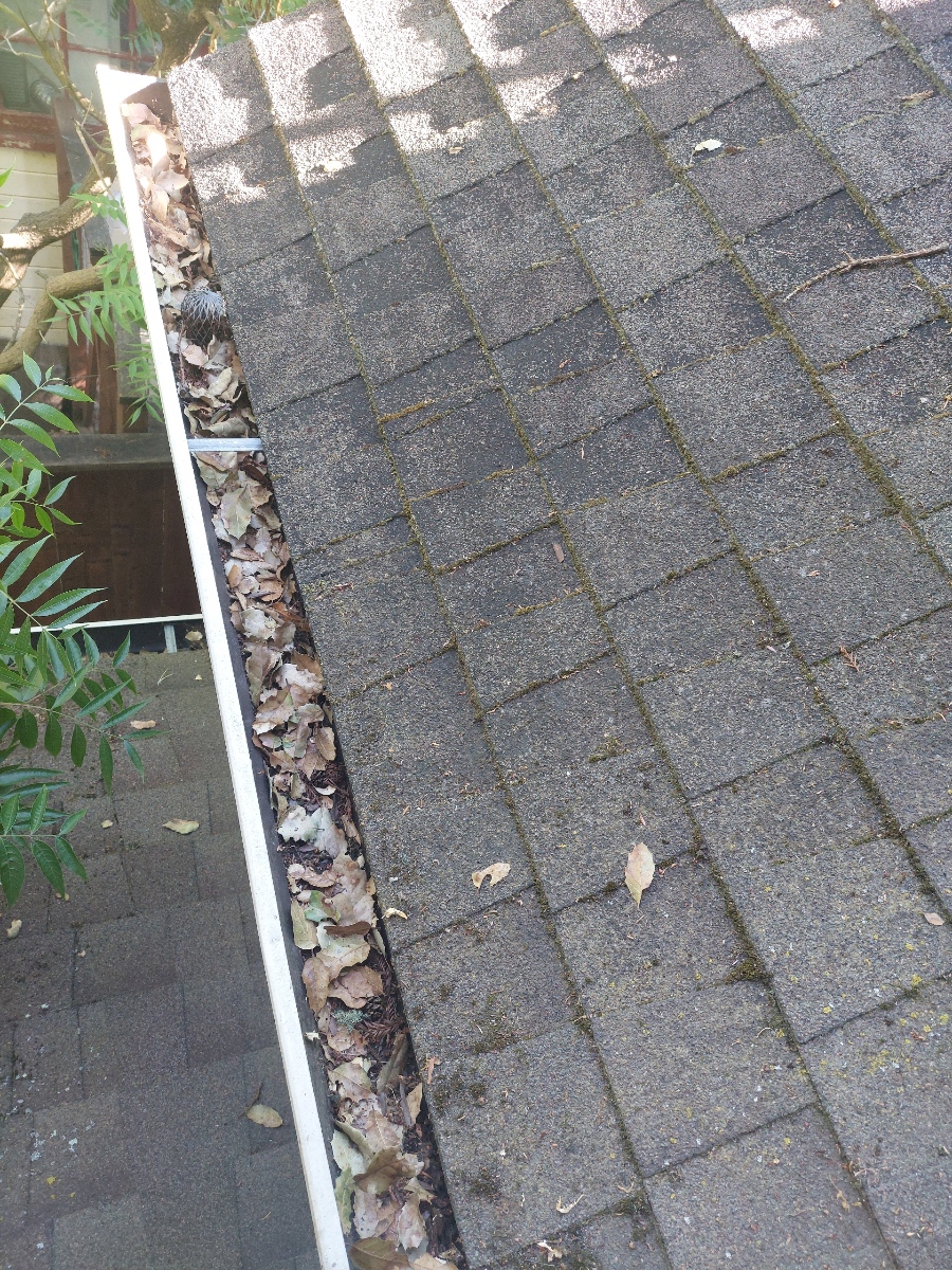 Clogged with Leaves