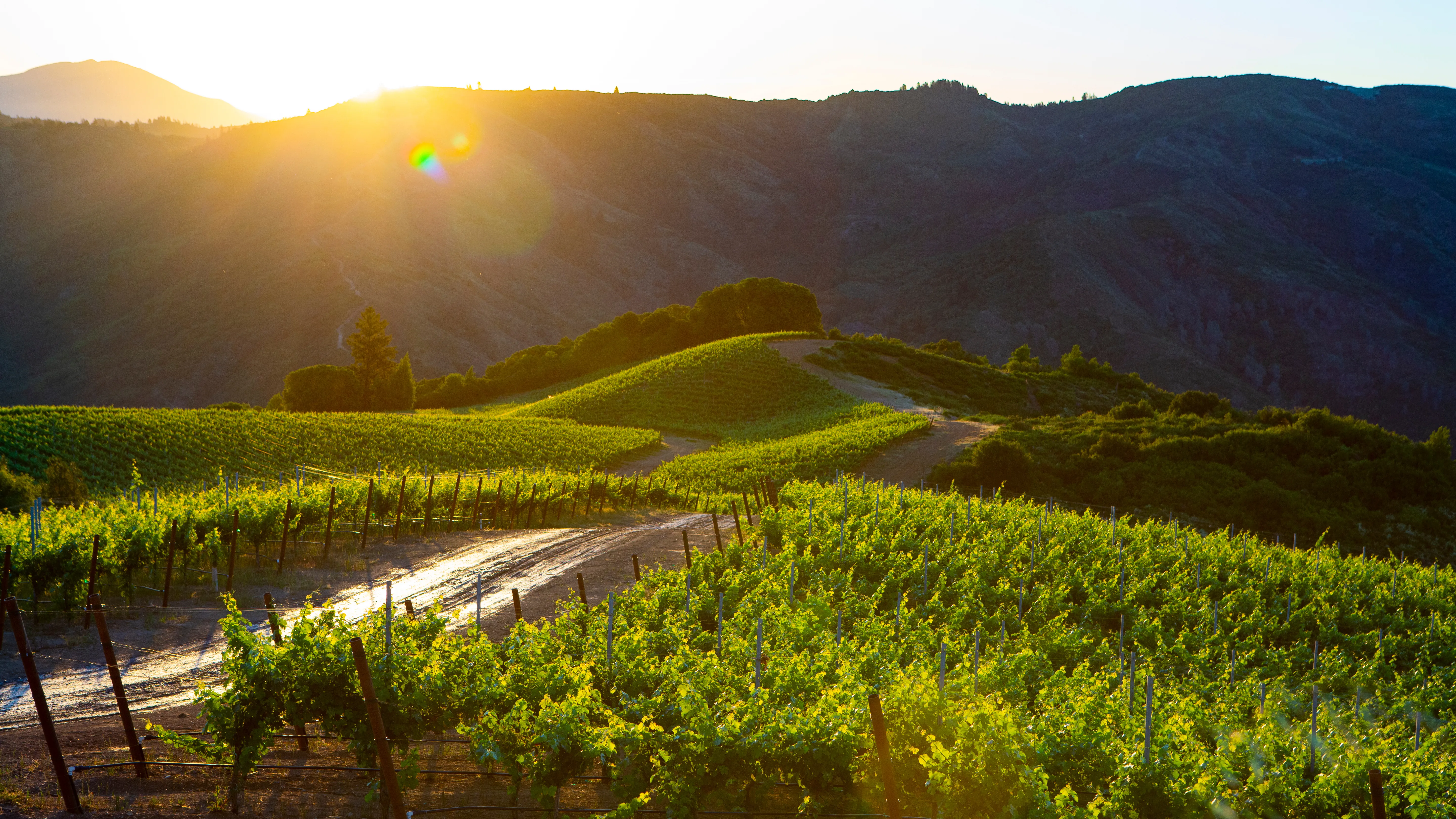 Exterior Maintenance in Sonoma, CA