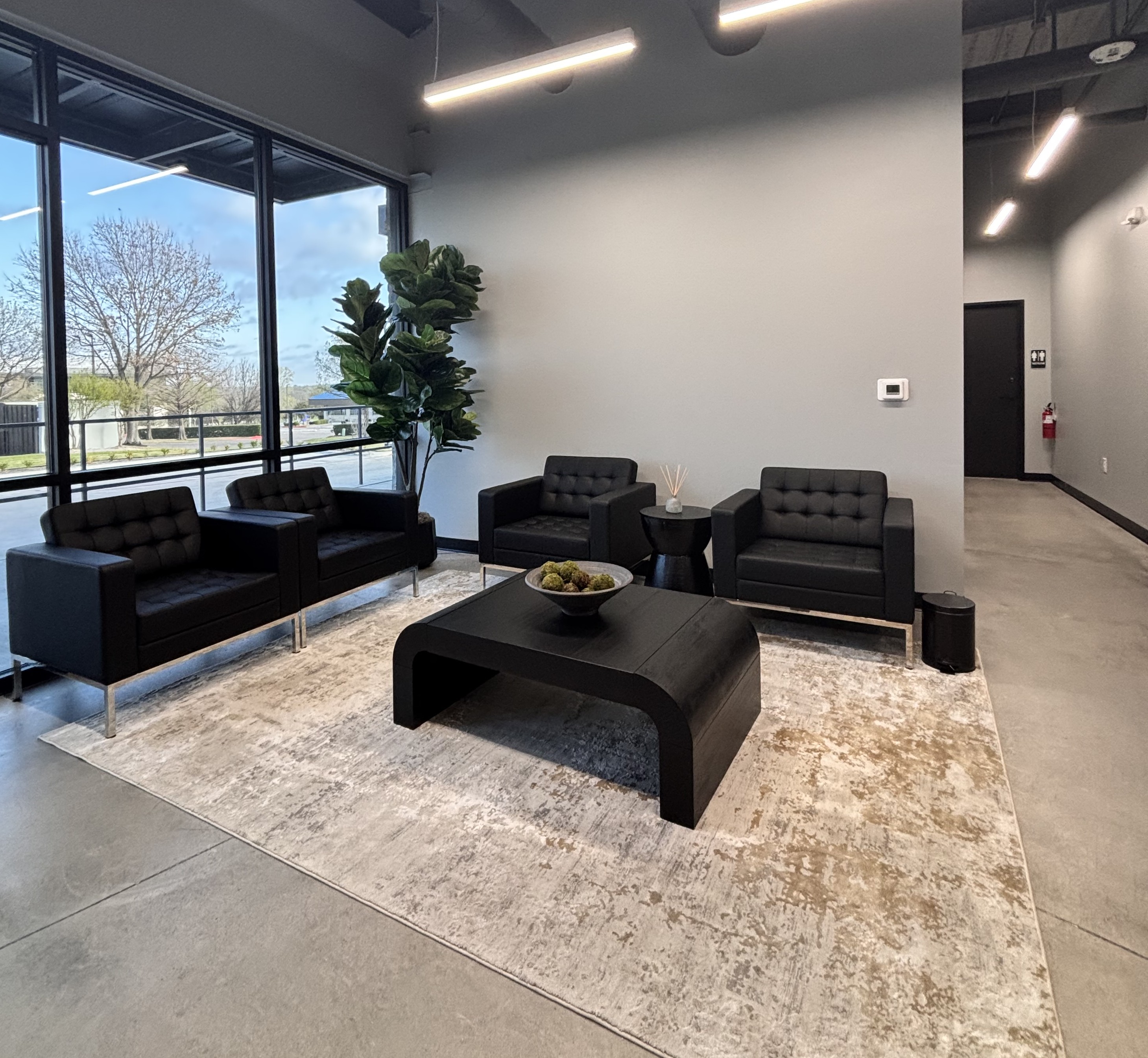 Luxury Interior Cleaning