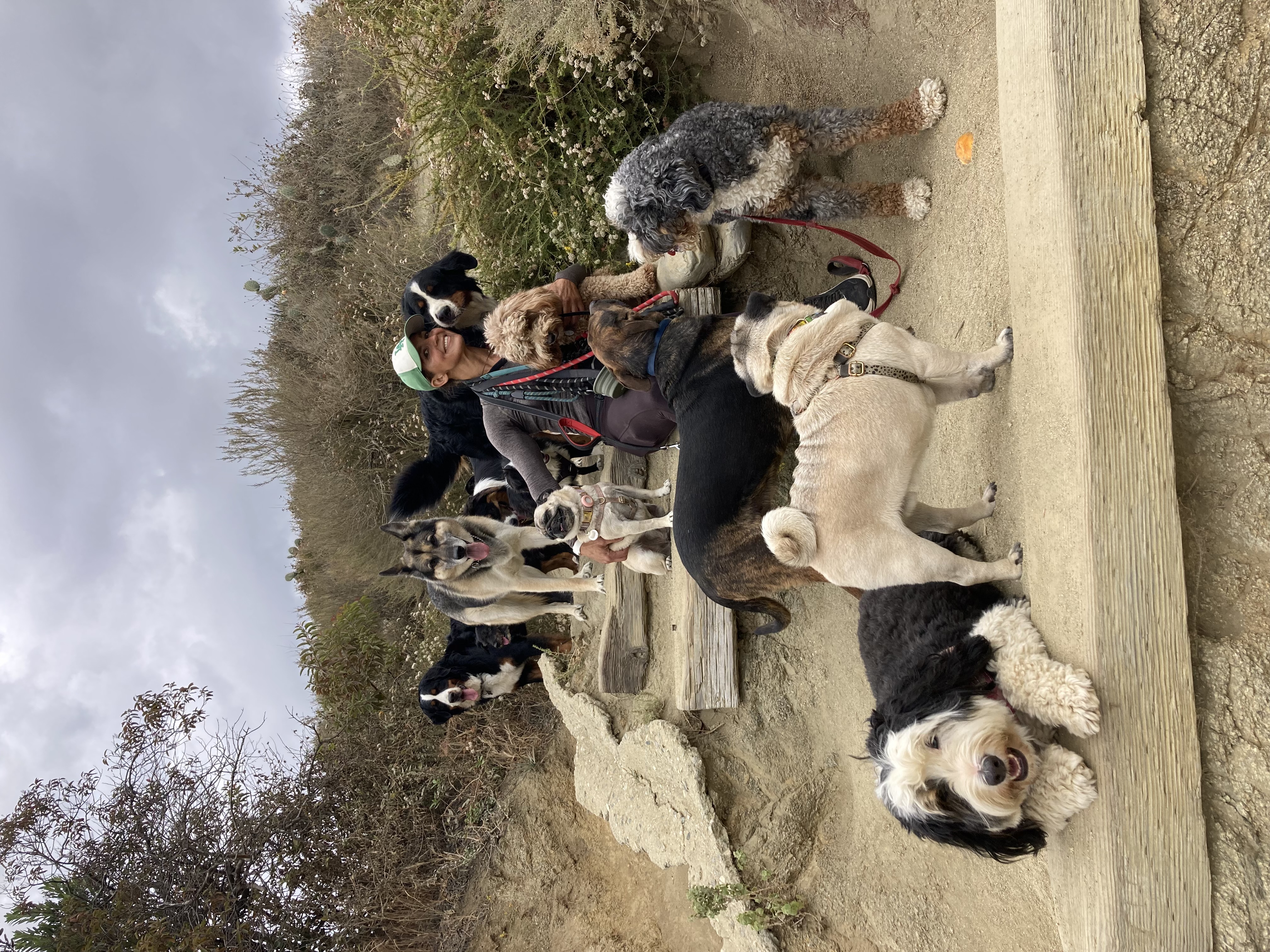 Olga and her pack