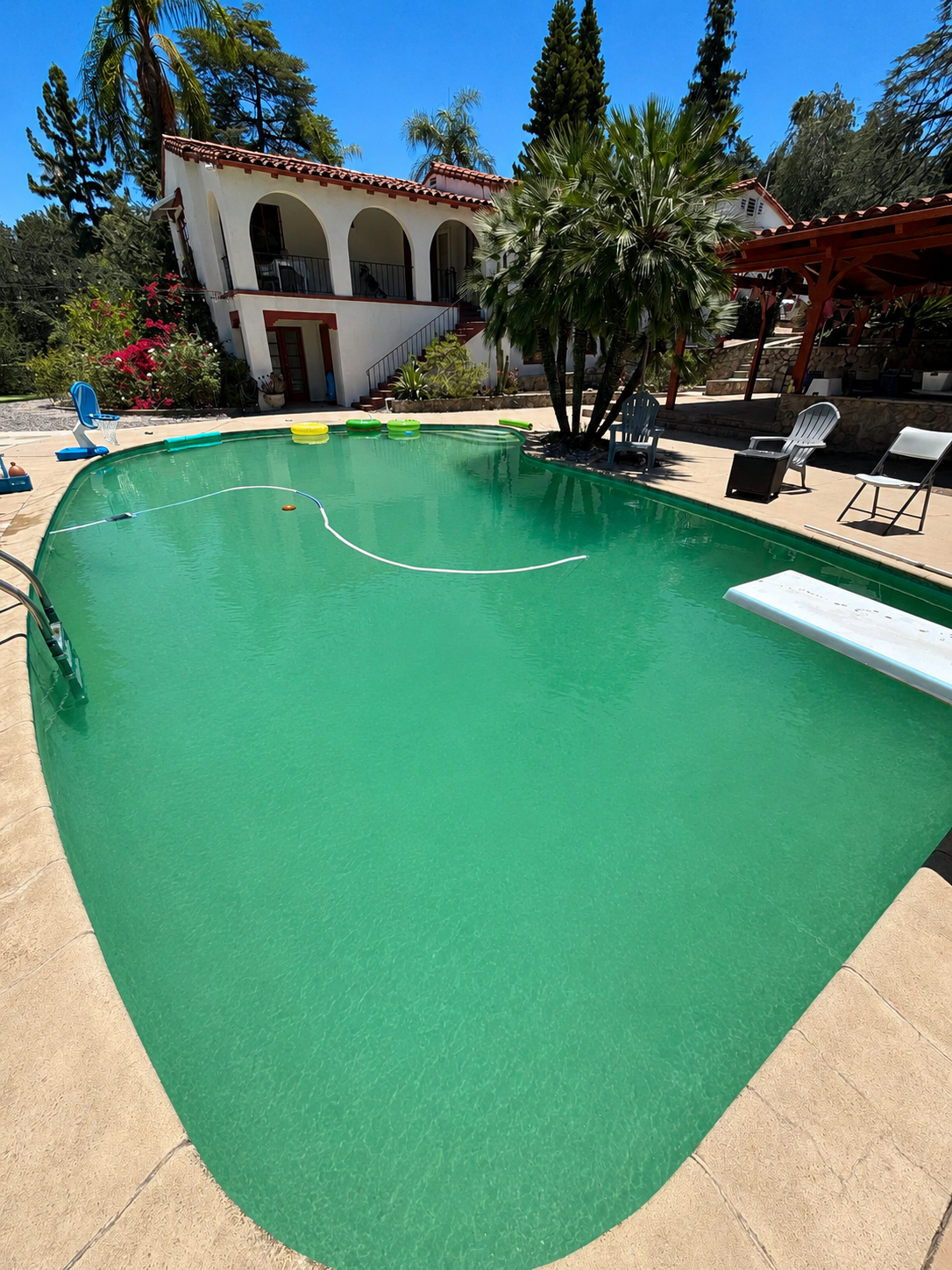 Green pool before algae recovery treatment