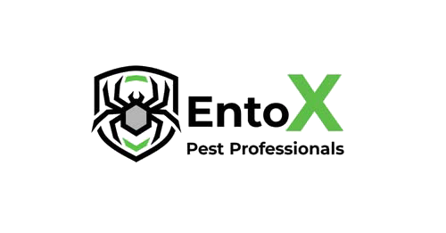 EntoX Pest Professionals