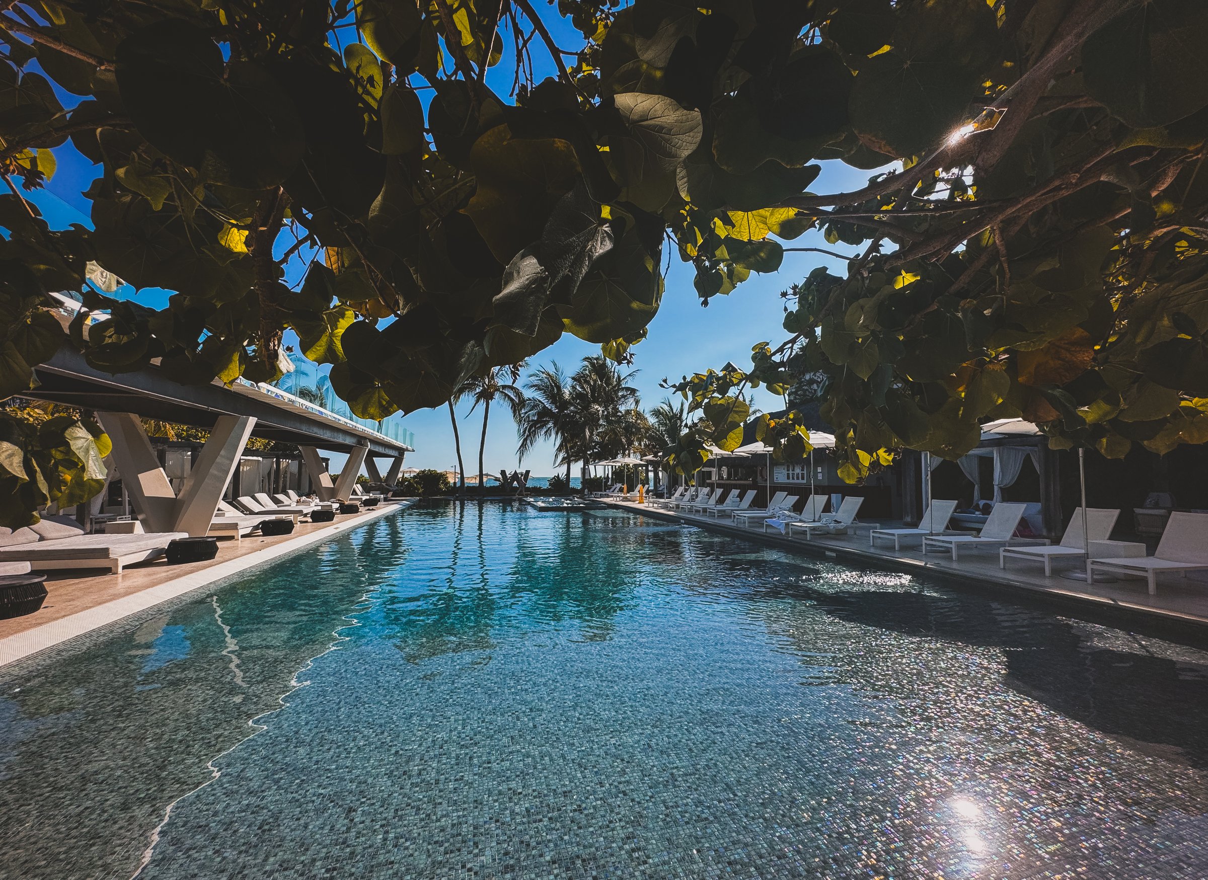 Luxury resort pool framed by trees