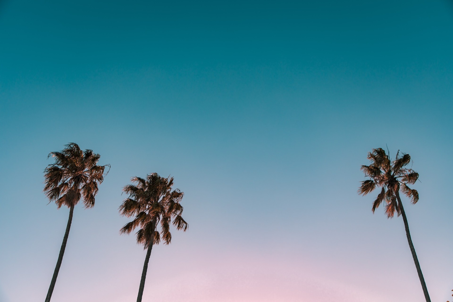 Luxury event setting with elegant floral arrangements