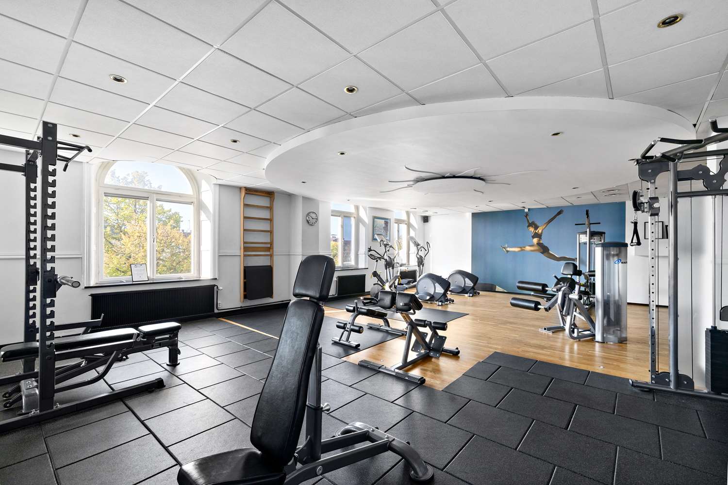 Gym & Fitness