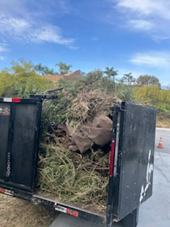 Dump trailer full of green waste and yard debris