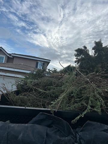Dump trailer loaded with branches and yard waste
