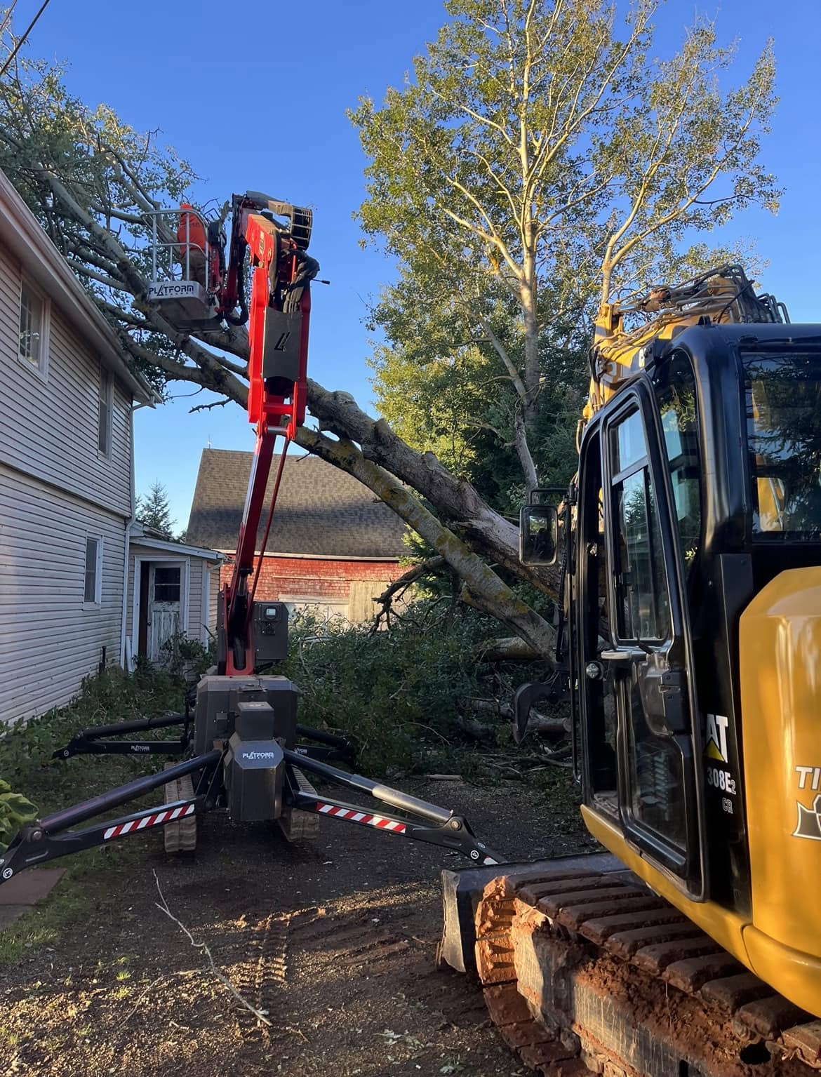 Tree Removal