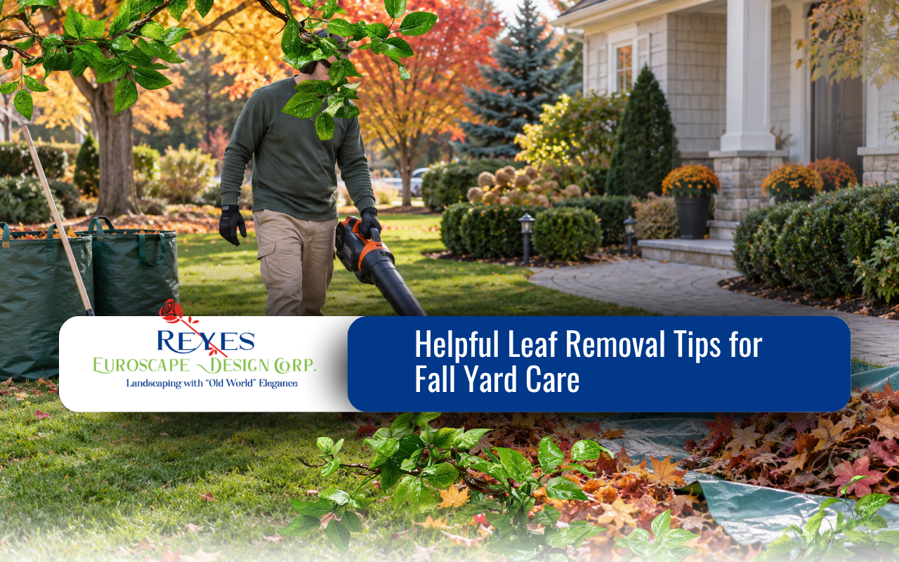Leaf removal in a clean residential yard during fall