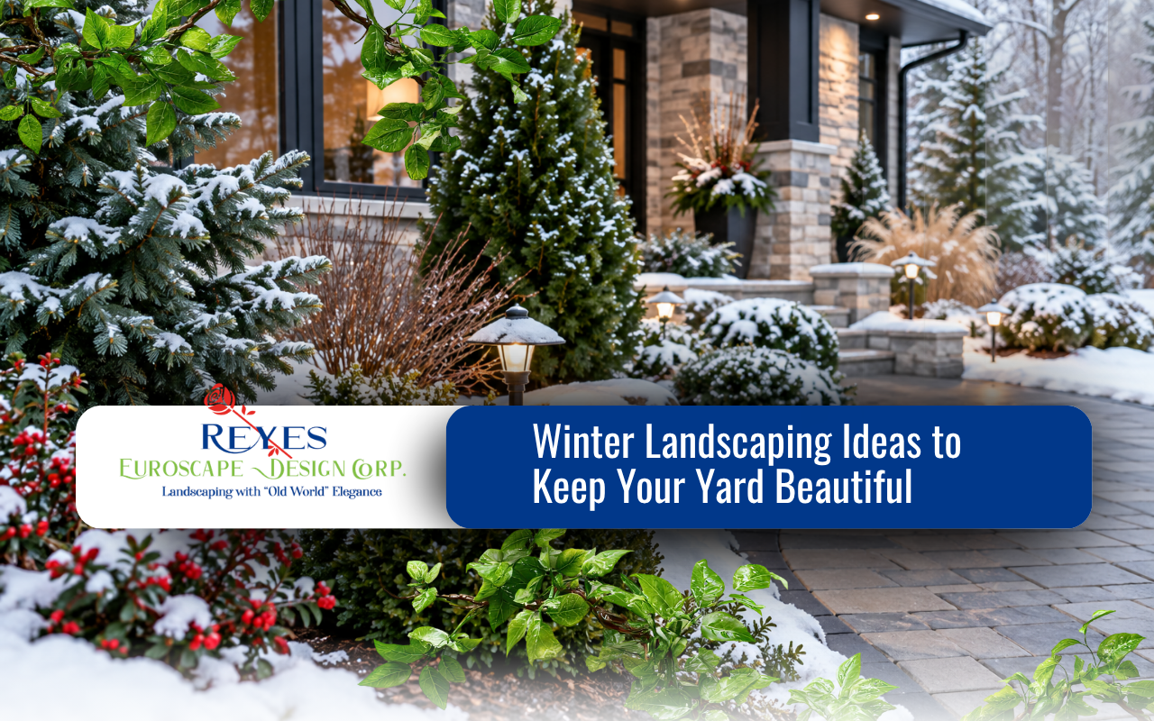 Winter landscaping with evergreen plants and seasonal garden care